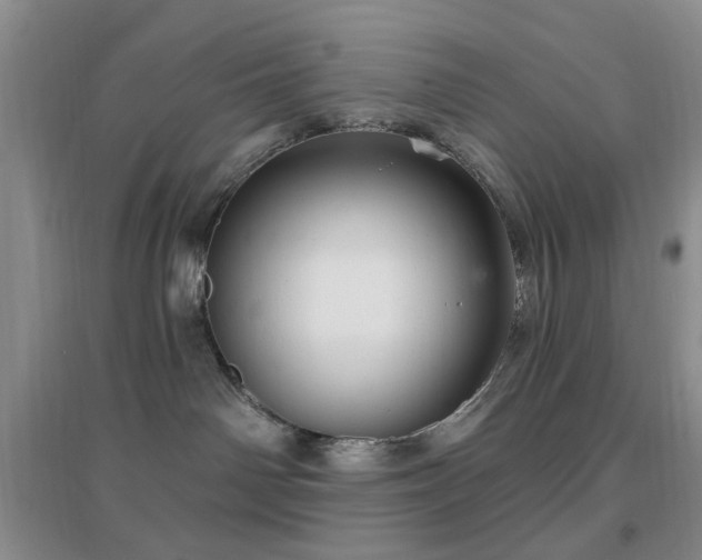 X0000096970142200802081301