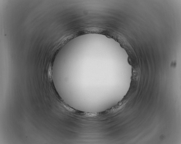 X0000096970143200802081301