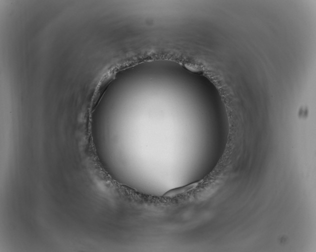 X0000096970144200802081301