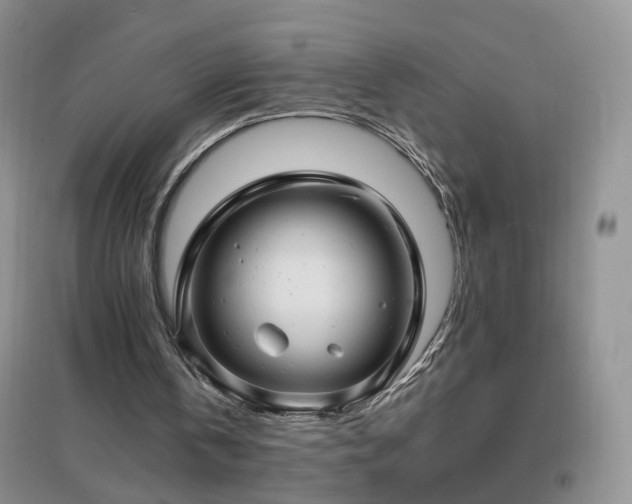 X0000096970146200802081300