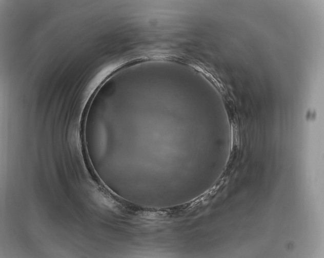 X0000096970147200802081300