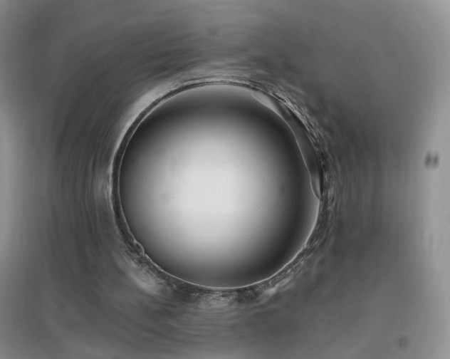 X0000096970148200802081300