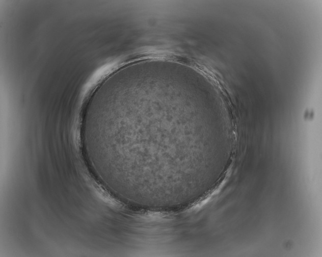 X0000096970149200802081300