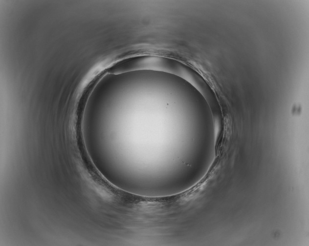X0000096970150200802081300