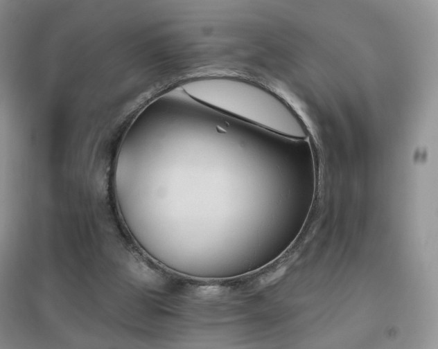 X0000096970153200802081300