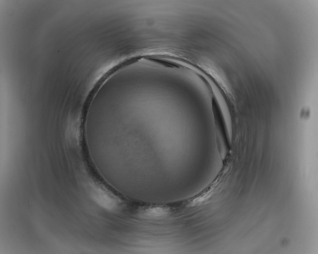 X0000096970156200802081300