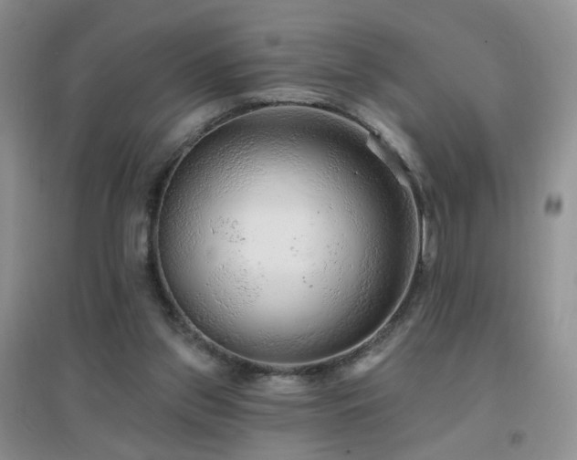 X0000096970157200802081300