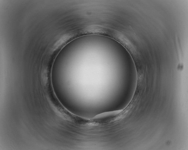 X0000096970158200802081300