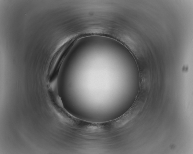 X0000096970160200802081300