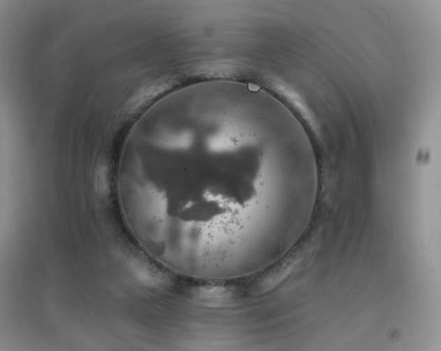 X0000096970161200802081300