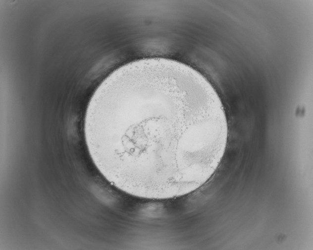 X0000096970162200802081300