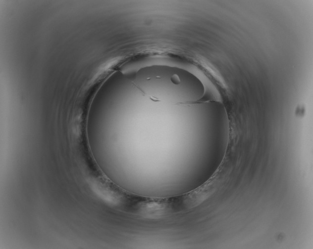 X0000096970163200802081300