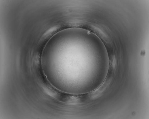 X0000096970166200802081300