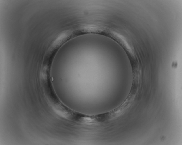X0000096970167200802081300