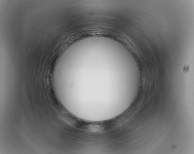 X0000096970169200802081300