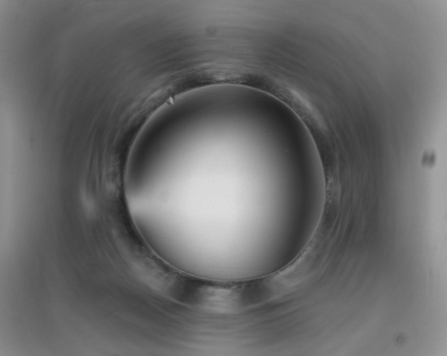 X0000096970170200802081300