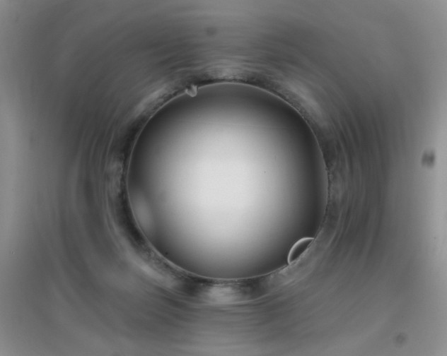 X0000096970171200802081300