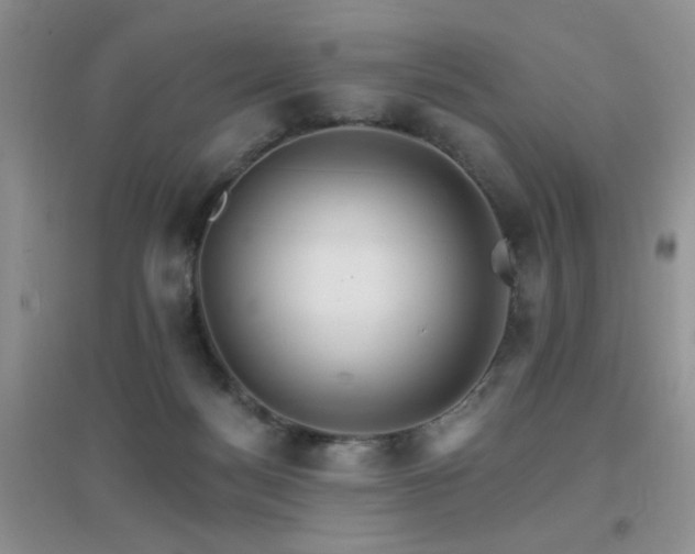 X0000096970172200802081300