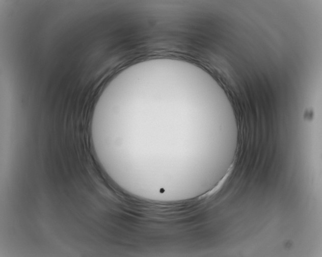 X0000096970174200802081300