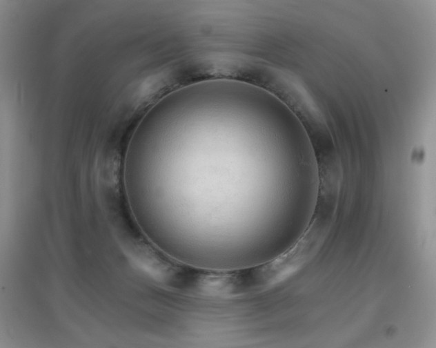 X0000096970175200802081300