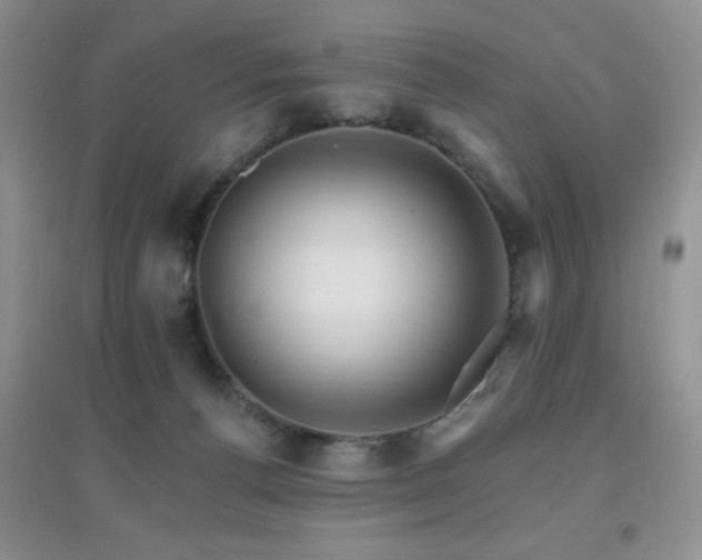 X0000096970176200802081300