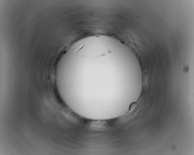 X0000096970179200802081300