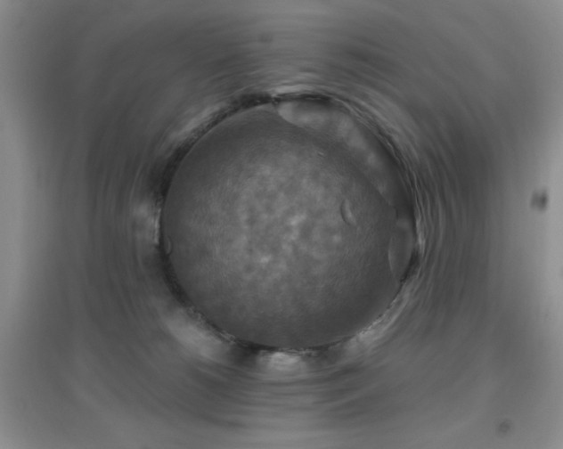 X0000096970180200802081300
