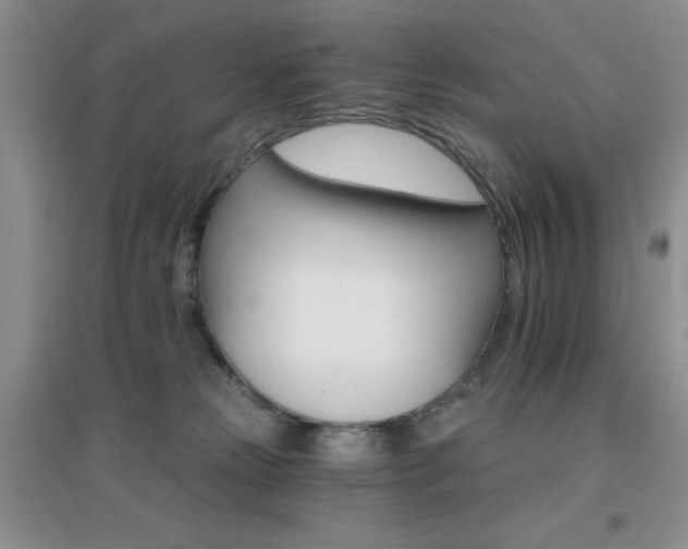 X0000096970181200802081300