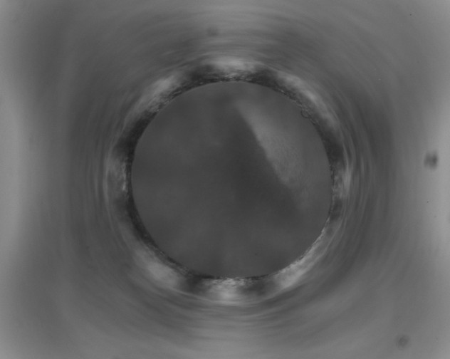 X0000096970182200802081300