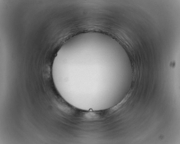 X0000096970183200802081300