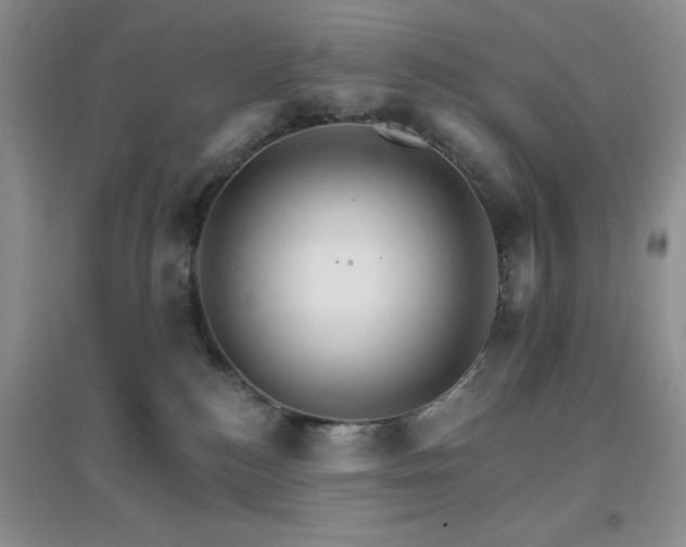 X0000096970184200802081300