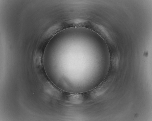 X0000096970185200802081300