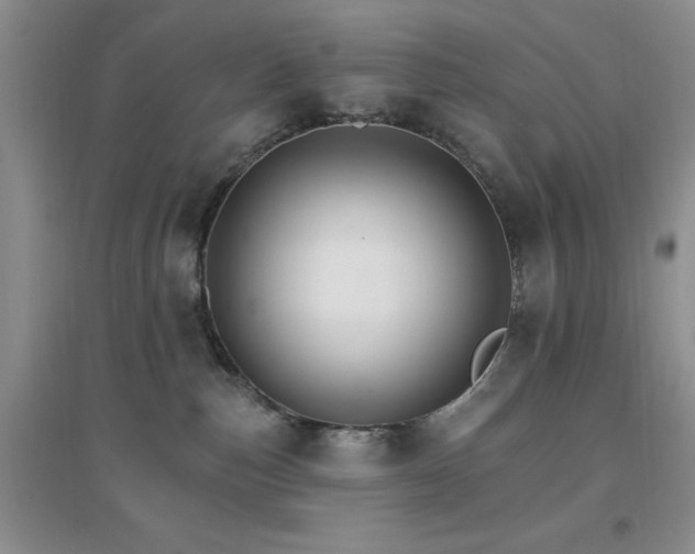 X0000096970187200802081300