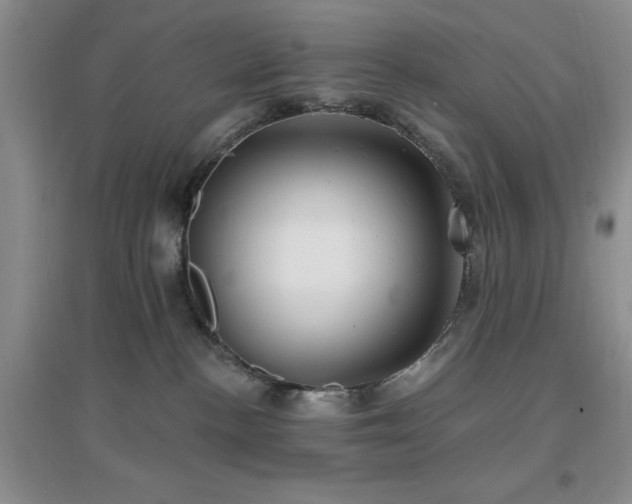 X0000096970188200802081300