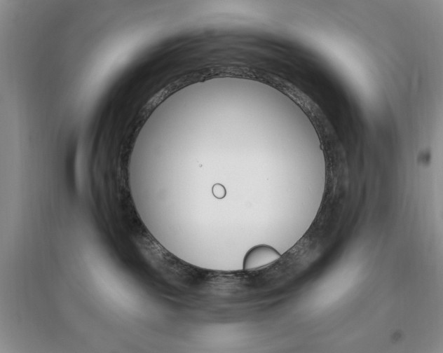 X0000096970189200802081300