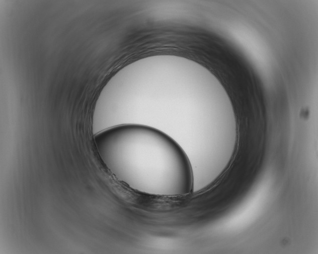 X0000096970190200802081301
