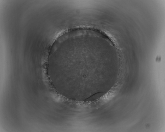 X0000096970192200802081301