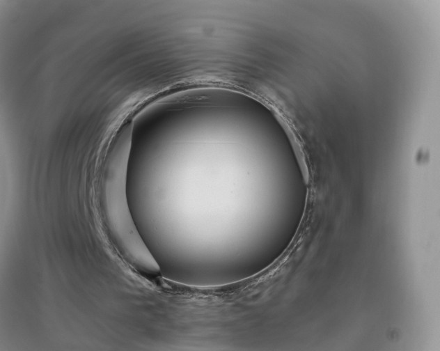 X0000096970193200802081300