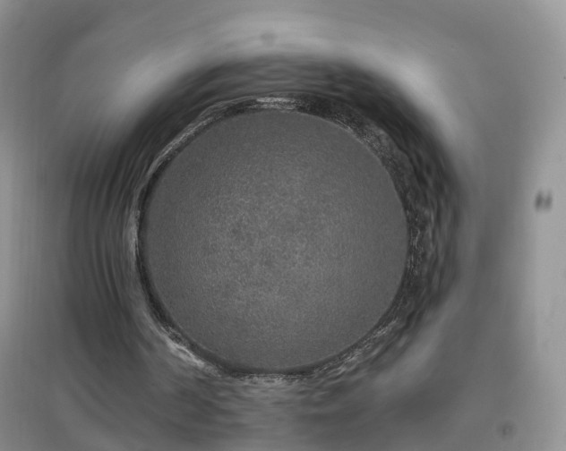 X0000096970194200802081300
