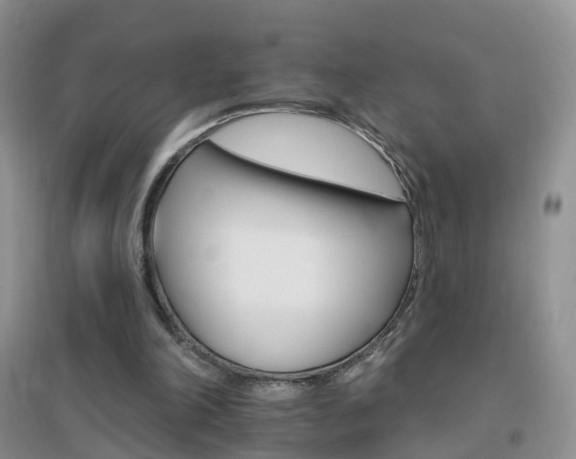 X0000096970198200802081259