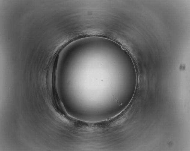 X0000096970201200802081259