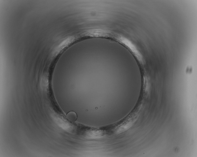 X0000096970202200802081259