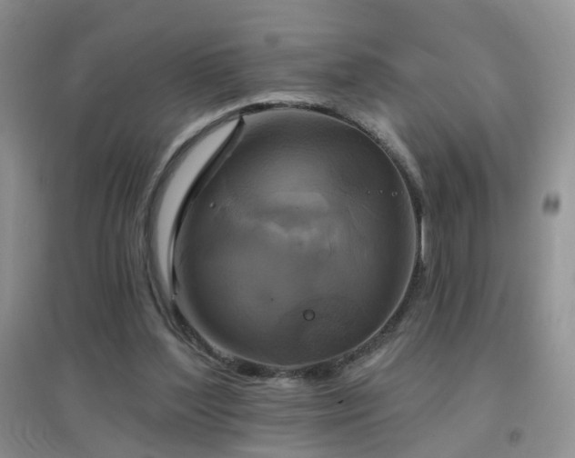 X0000096970204200802081259