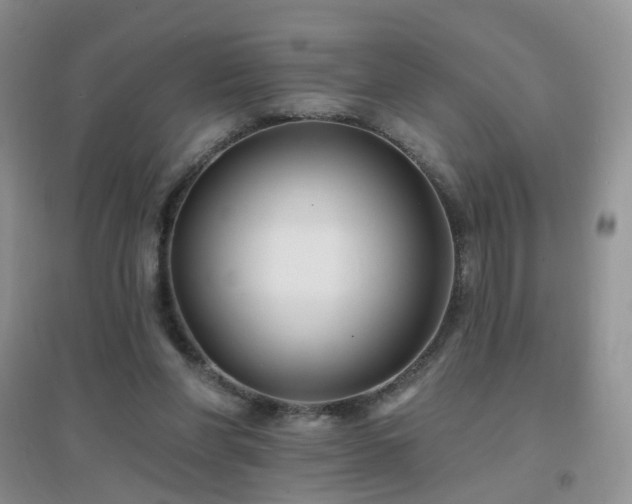 X0000096970206200802081259