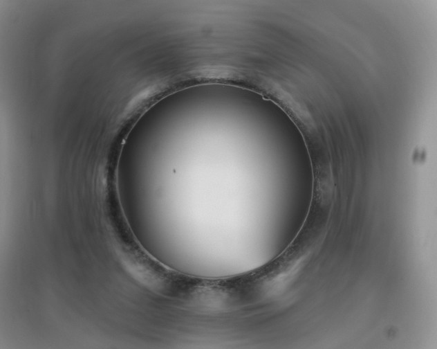 X0000096970207200802081259