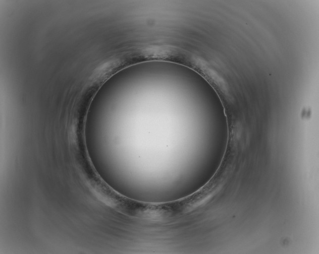 X0000096970209200802081259