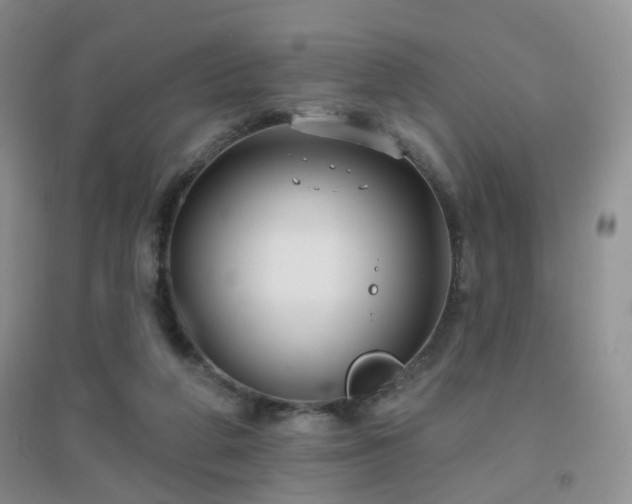X0000096970210200802081259