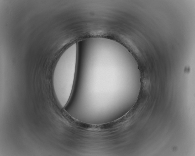 X0000096970211200802081259