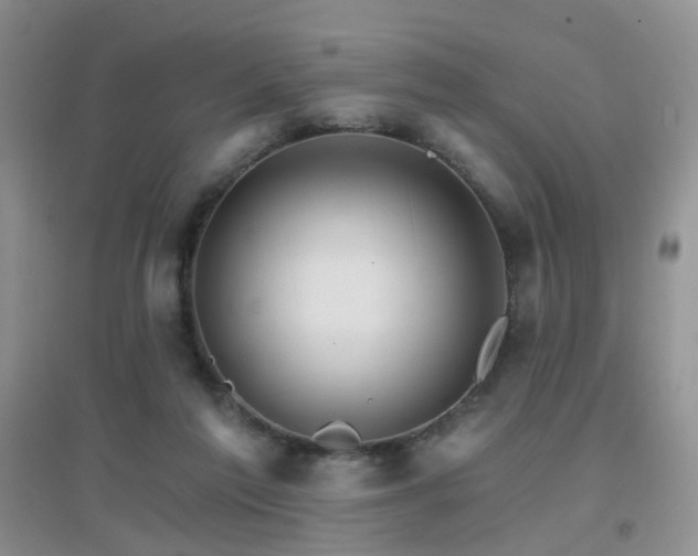 X0000096970213200802081259