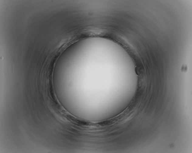 X0000096970215200802081259